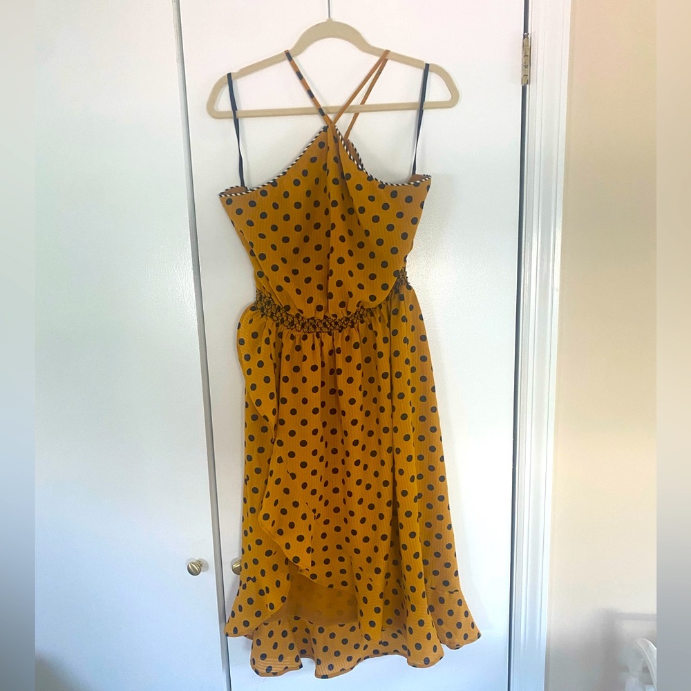 House of Harlow X Revolve Polka dot midi dress (worn only once)